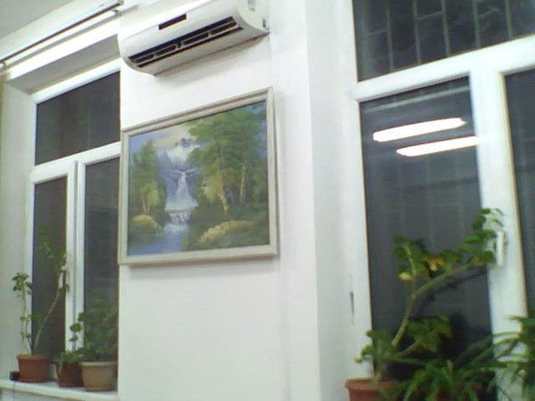 Темирлан Токоев