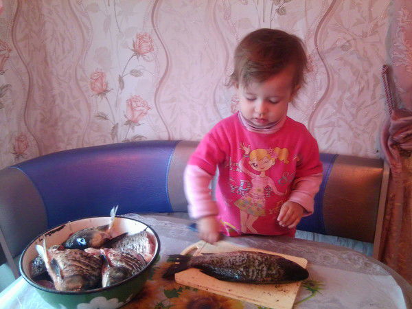 Елена Фогель