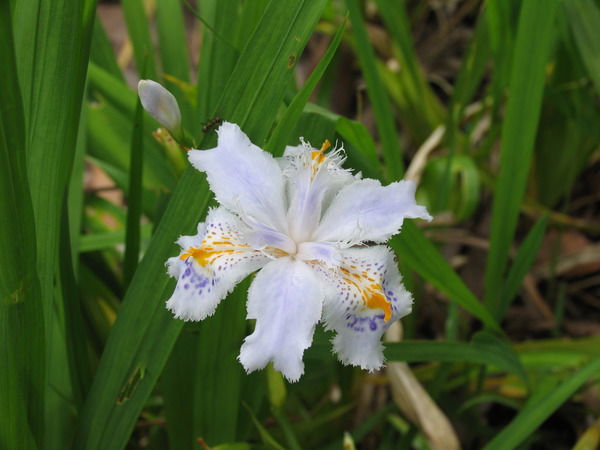 Анна Суханова