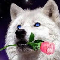 Никита Готовчиц