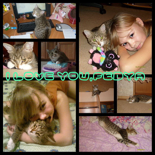 Катя Чеботарёва