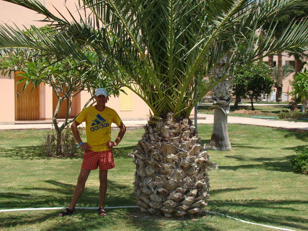 Андрей Гуков