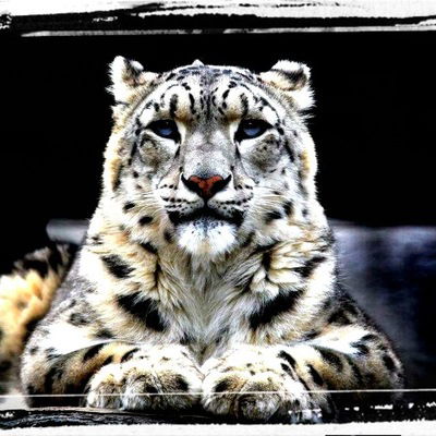 Мария Мищенко