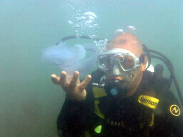 Александр Веселов