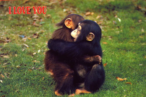 Ксения Хайер