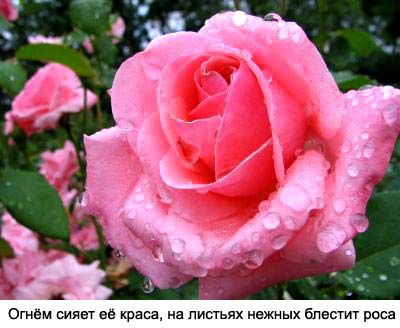 Катира Курманалиева