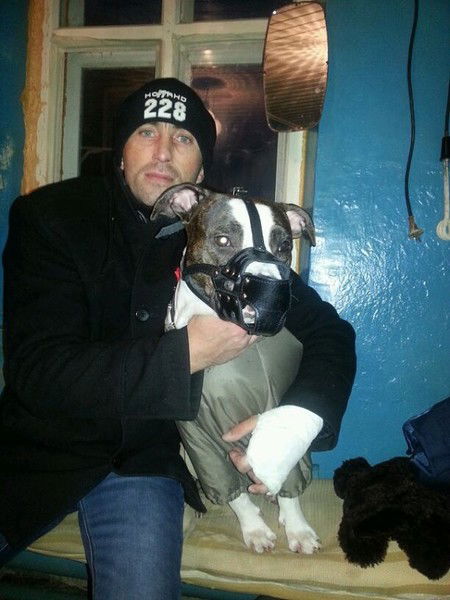 Александр Тарахович