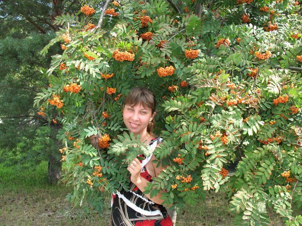 Лена Колесникова