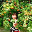 Лена Колесникова