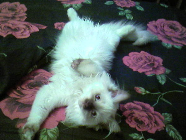 Ульяна Васильева