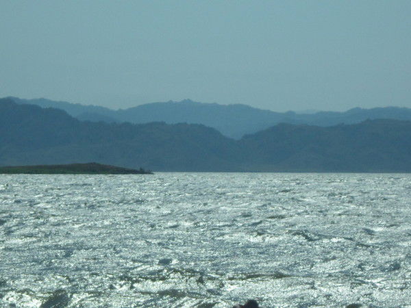 Олег Воронков