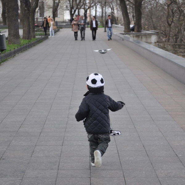 Александр Ковалев