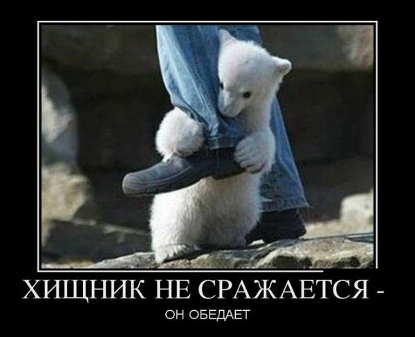 Ганнибал Лектор