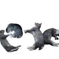 Алексей Битков