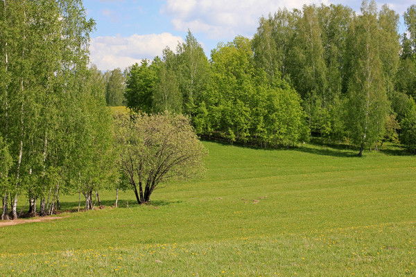 Баглан Узбекова