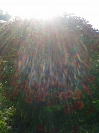 Виктория Казакова