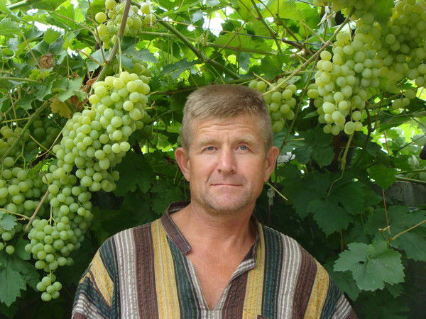 Борис Наливайко