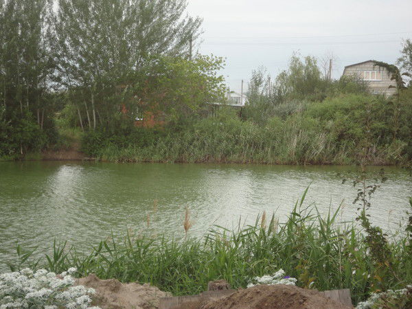 Валерий Барков