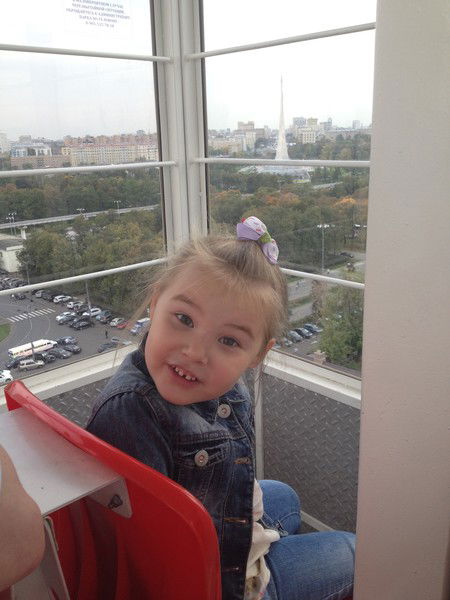 Владимир Топорков