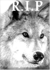 Владислав Нехорошев