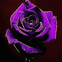 Татьяна Иванова (Маркеева)