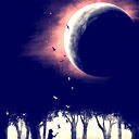 Dark Paradise