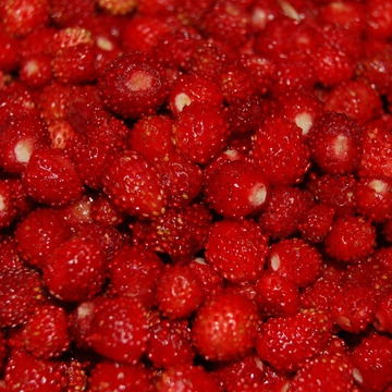 Анастасия Бондаренко