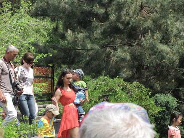 Екатерина Прохорова