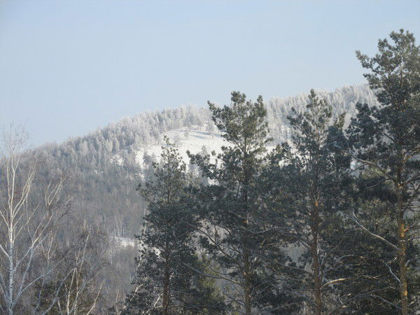 Вера Толстова