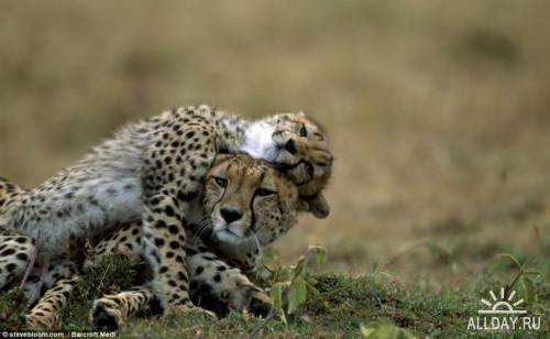 Екатерина **