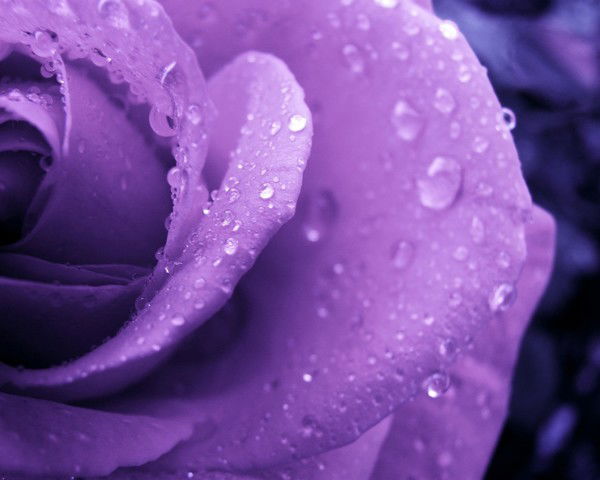 Мария Бесходарная