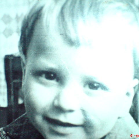 Андрей Колесников