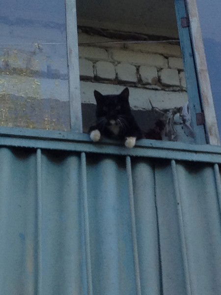 Татьяна Бочкарева