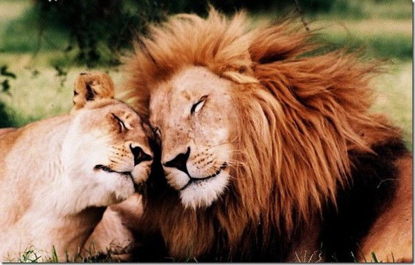 Мила Потанина