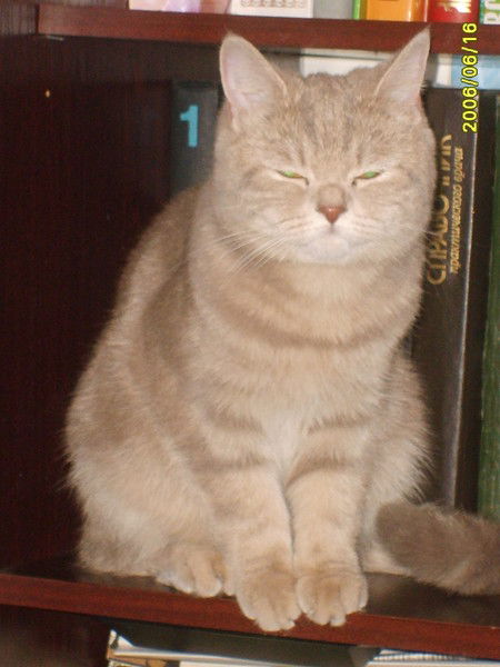 Наталья Логвинова