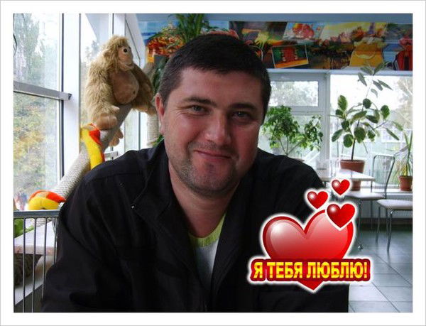 Александр Сергеев