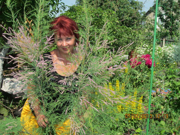 Лариса Степанец