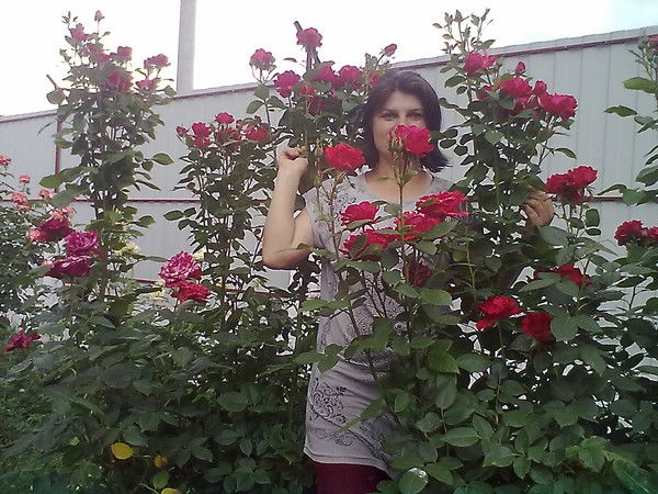 Марина Пахолкова