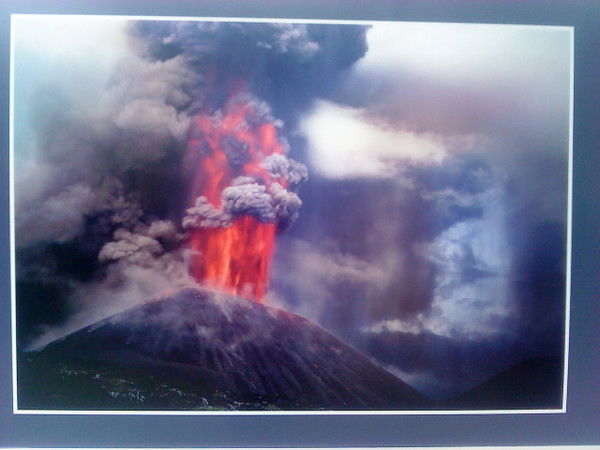 Наталья Семененко