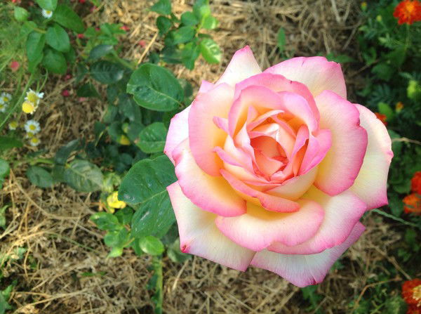 Анна Ткачук