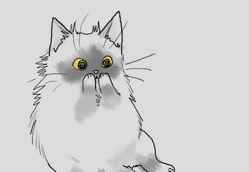 Ксения Белик