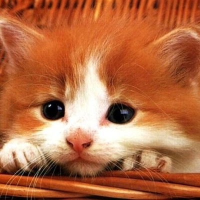 Ульяна Радченко