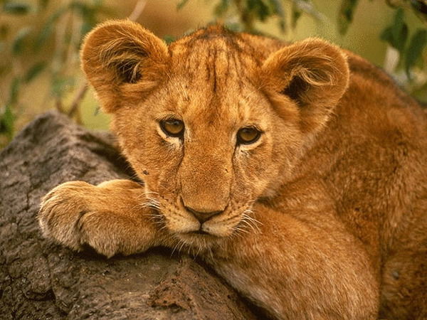 N Илдус Нигьматуллин