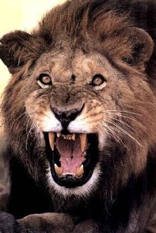 Любовь Кузнецова