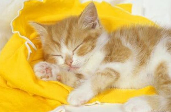 Кристина Суяргулова