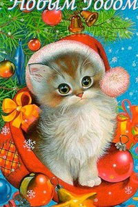 Снежана Чиж