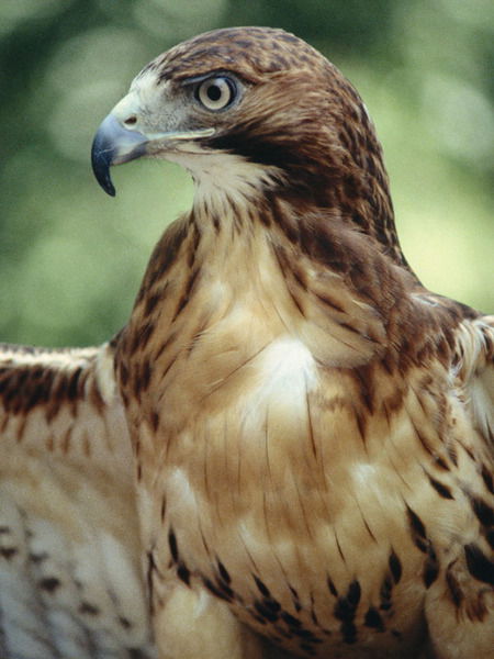 Александр Климовский
