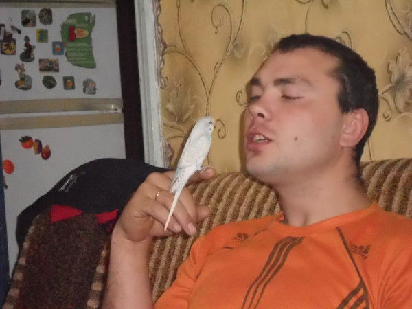 Сергей Кравченко