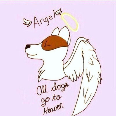 Юля Попукалова