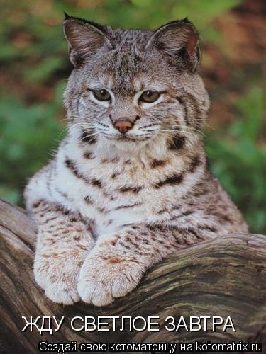 Руслан Лозан